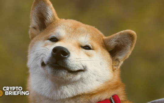 Shiba Inu Primed to Run Following Coinbase Pro Listing
