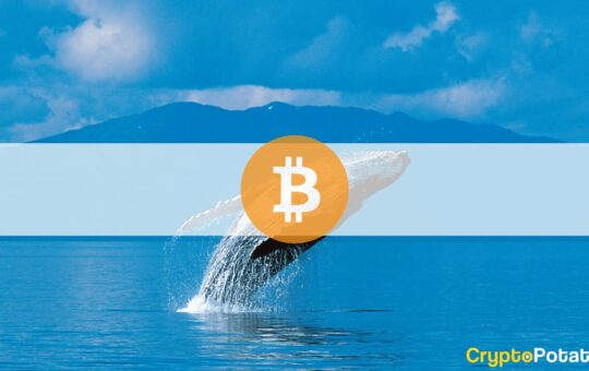 Third-Largest Whale Buys $170M Worth of BTC in Two Weeks