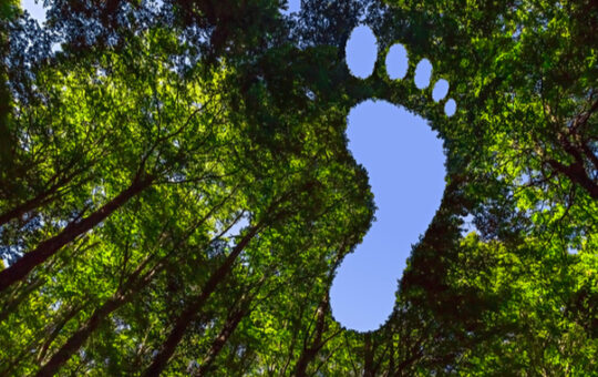 Where to buy Moss Carbon Credit as MCO2 joins bull run