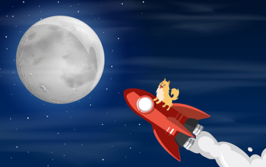 Where to buy Nano Dogecoin as INDC rallies by 203%