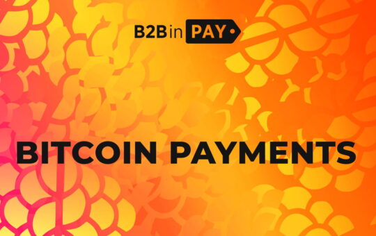 How to Find a Reliable Provider of Bitcoin Payments – Press release Bitcoin News