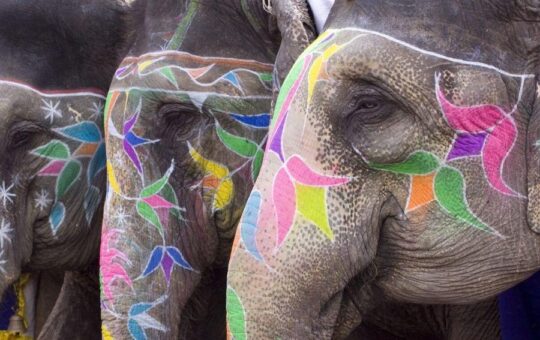 India’s Crypto Market is More ‘Mature’ Than Vietnam’s and Pakistan’s - Chainalysis