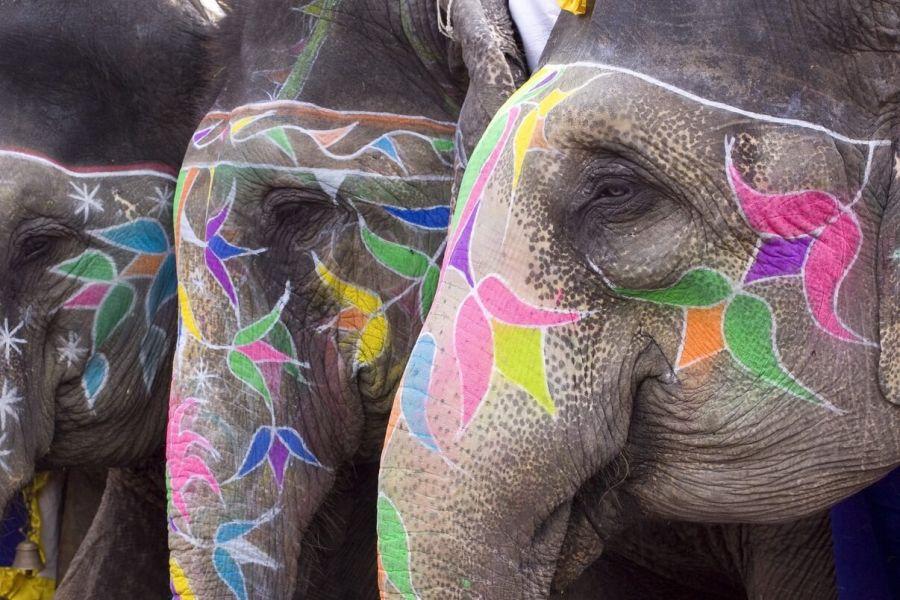 India’s Crypto Market is More ‘Mature’ Than Vietnam’s and Pakistan’s - Chainalysis