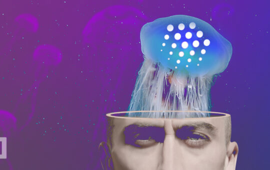 OCEAN Price Moons After Binance Listing