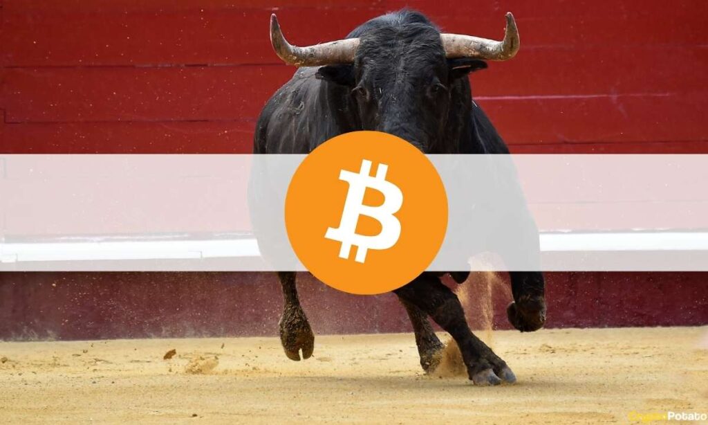 Bitcoin Investor Confidence Highest Ever as BTC Price Closes on $70K