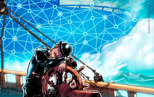 Digital rights management in the open seas of blockchain systems