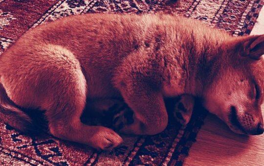 Floki Inu Ads on London Underground Under Investigation by UK Advertising Watchdog