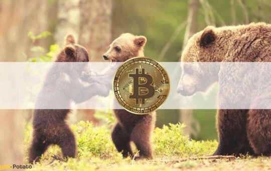 3 On-Chain Signs That Flashed Shortly Before Bitcoin's $16K Daily Crash