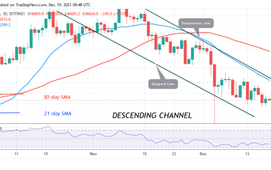 Bitcoin (BTC) Price Prediction: BTC/USD Trades Marginally as Bitcoin Pauses Above $45.5k