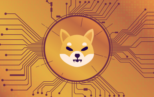 SHIB Devs Announce First Phase of Doggy DAO