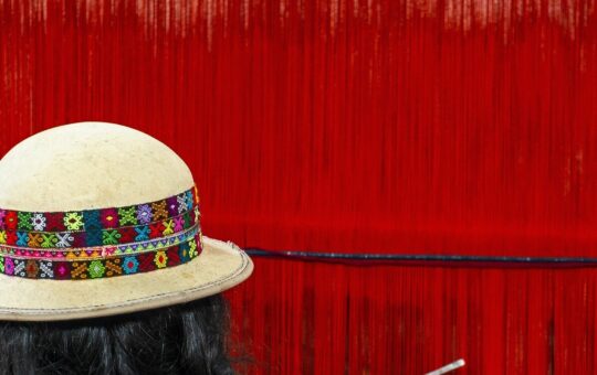 Bolivian Central Bank ‘Bans’ Crypto, Says Tokens ‘Have No Place in Domestic Market’