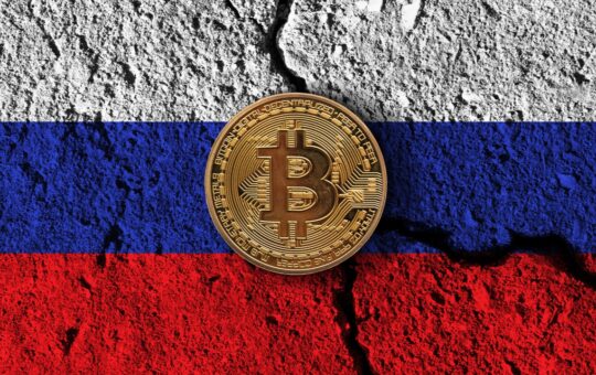Russians Aware of Bitcoin Divided on Proposed Crypto Ban, Poll Finds
