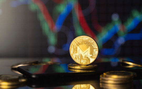 Which Privacy Coin should you invest in?