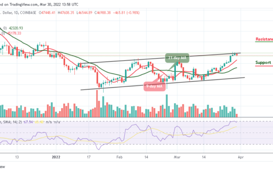 Bitcoin Price Prediction