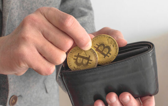 Russian Bankers Suggest Criminalizing Crypto Storage in Non-Custodial Wallets