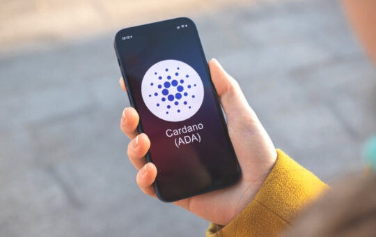 Cardano retests key support amid bearish sentiment and testnet concerns