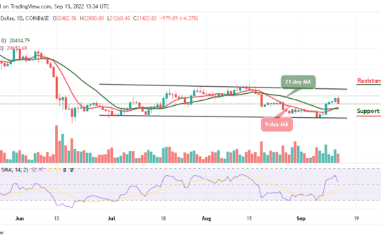 BTC Couldn’t Hit $23,000 Resistance as Buyers Strongly Prefer TAMA