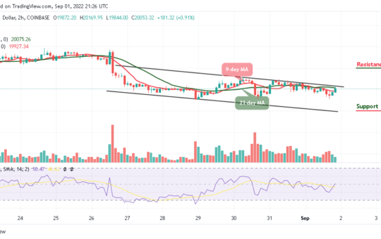 BTC Risks Fresh Drop As TAMA Experiences Inevitable Growth
