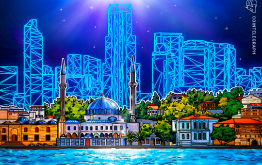 Turkey taps blockchain for e-Human project, President Erdoğan announced