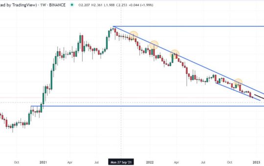 Cardano Price Forecast as Ripple CTO Responds to Charles Hoskinson’s Comments – This is What Happened