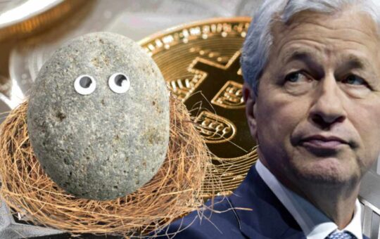 JPMorgan Chase CEO Jamie Dimon Likens Crypto to Pet Rocks — Calls for More Regulation
