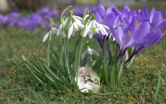 Next ‘Crypto Spring’ Could Be ‘Unlike Any Other’ – Because of This Factor
