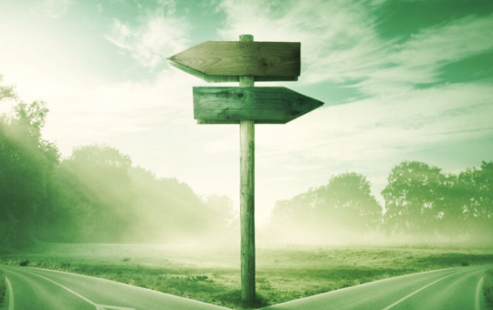 DefiLlama Team Fractures Over Potential Token Launch