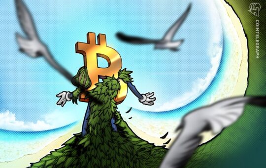 Greenpeace war on Bitcoin unintentionally spawns 'badass' new mascot