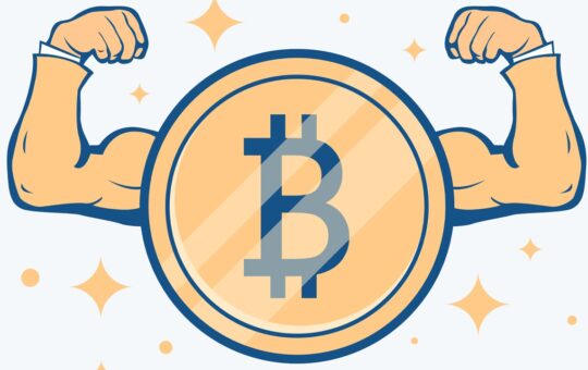 Bitcoin Hashrate Reaches All-Time High of 491 EH/s, Close to Half a Zettahash, as Network Preps for Next Difficulty Change