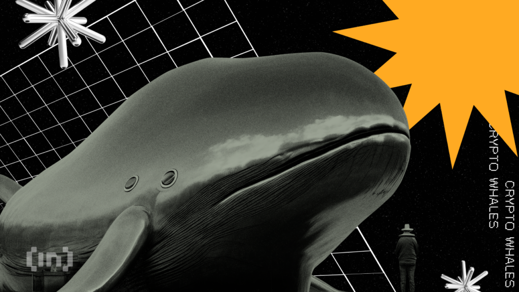 Crypto Whales Are Buying These Altcoins This Week
