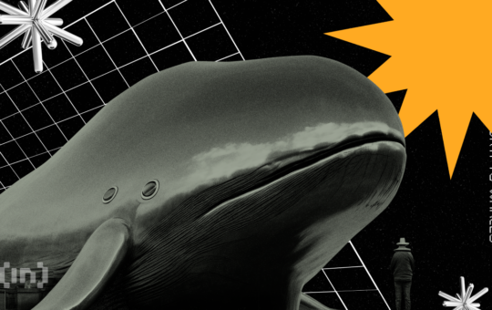 Crypto Whales Are Buying These Altcoins This Week