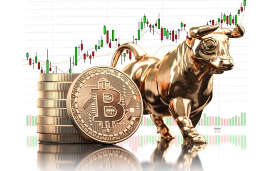Unveiling Secrets of a Successful Trader: Bitcoin (BTC) Bulls Set to Roar, Expert Opinions Inside