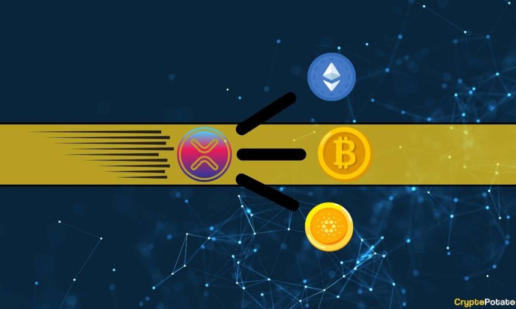 XRP Poised to Surpass BTC, ETH, and ADA as the Leading Payment Cryptocurrency