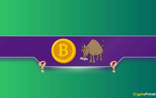 Three Reasons Why the Bitcoin (BTC) Price Rally Might Continue in the Short Term