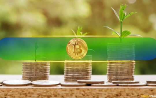 Bitcoin Investors Continue to Take Profit as BTC Price Slides to 10-Day Low: Bitfinex