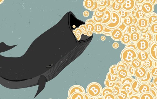 Bitcoin Whales Are Hungrier Than Ever for BTC—Here’s Why