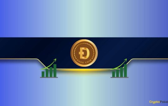Key Dogecoin (DOGE) Indicator Soars by Almost 15% in 90 Days: Details