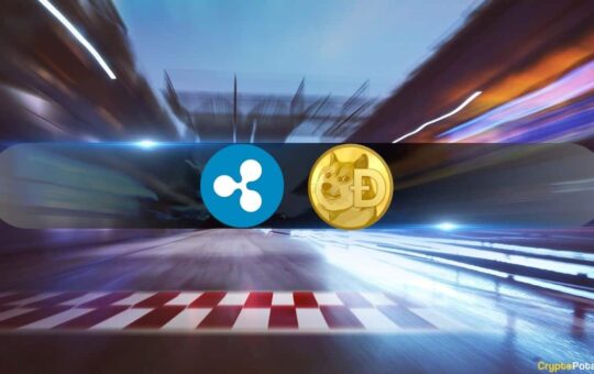 7 Reasons Dogecoin (DOGE) Could Flip Ripple's XRP in 2024
