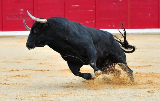 Injective, Fantom soar as Bitcoin price surges past $68k