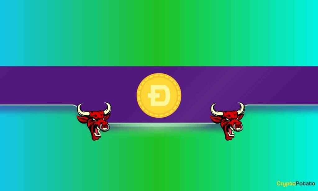 Is a Massive DOGE Price Rally in the Making?