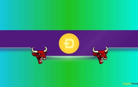 Is a Massive DOGE Price Rally in the Making?