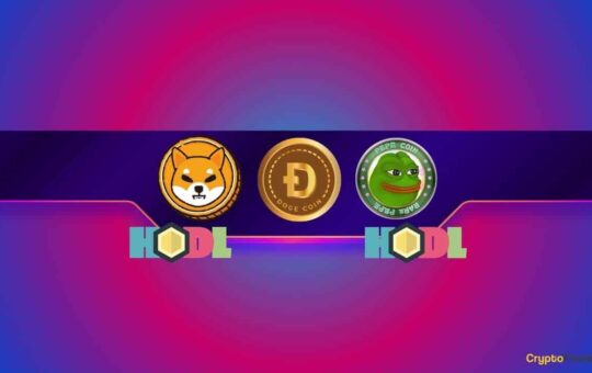 Popular Gaming Platform Holds Numerous Meme Coins, Including Shiba Inu (SHIB) and Dogecoin (DOGE)