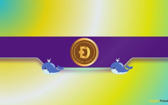 Price Rally in the Making?