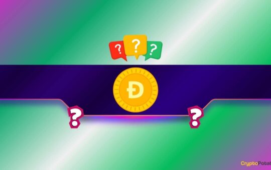 What Do Binance Traders Know About Dogecoin (DOGE) That You Don't?