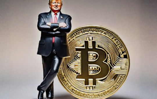 White House to Scale Back Tariffs, Bitcoin Gains on Eased Economic Jitters