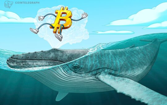 Bitcoin whales absorb 300% of newly mined BTC supply — Is $100K next?