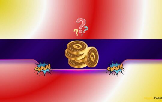 Dogecoin (DOGE) Risks a 65% Price Crash if It Doesn't Reclaim This Support Level