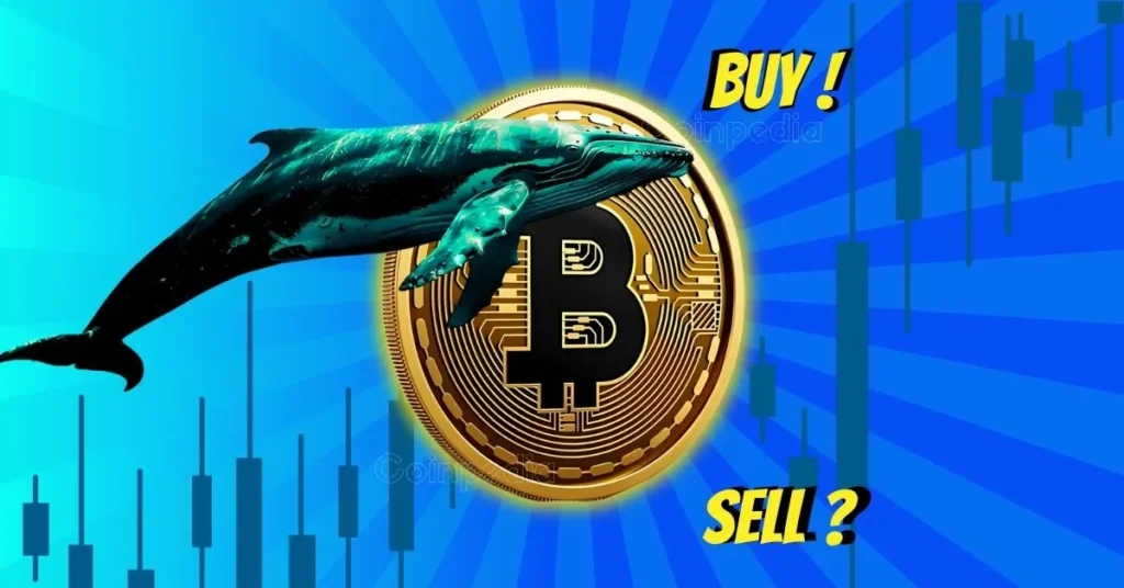 Whales Selling, Retail Buying Is Bitcoin Price at $109k on Crossroads