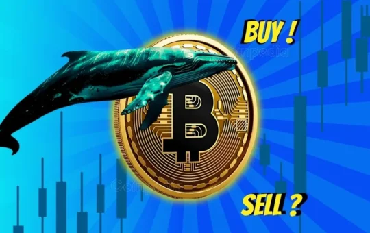 Whales Selling, Retail Buying Is Bitcoin Price at $109k on Crossroads