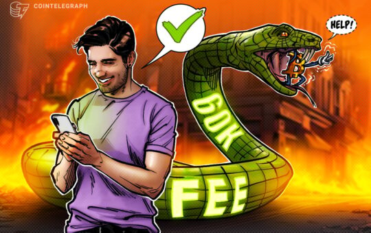 Bitcoin User Accidentally Sent $60,000 in Fees—Don’t Make the Same Mistake